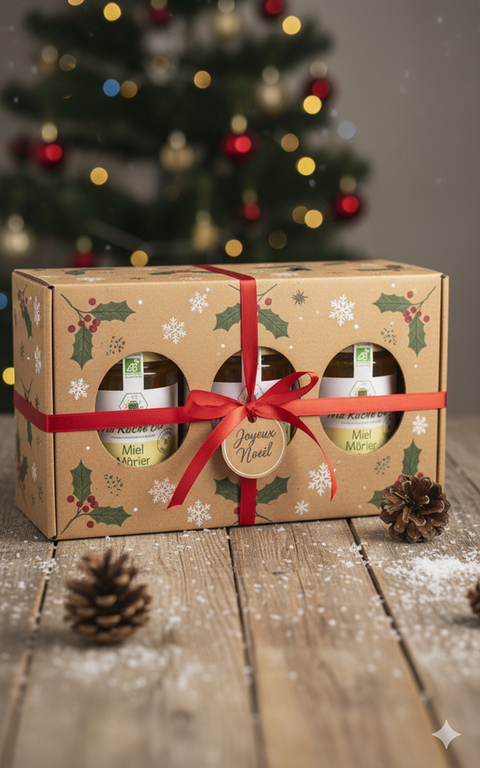 Coffret Cadeau Miel Bio Noël - 3 Pots Idée Cadeau Gourmande & Naturelle